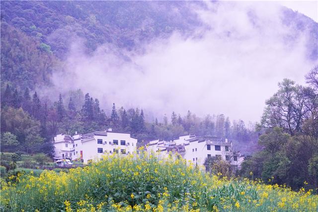 实拍中国最美乡村的春天,婺源万亩油菜花盛放,云海梯田天上人间