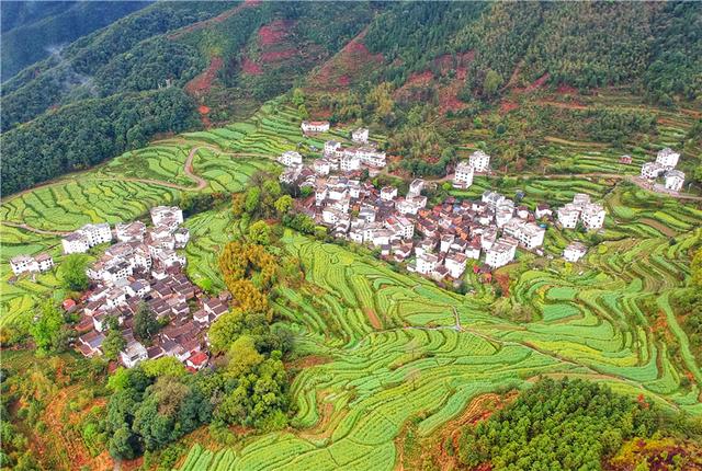实拍中国最美乡村的春天,婺源万亩油菜花盛放,云海梯田天上人间