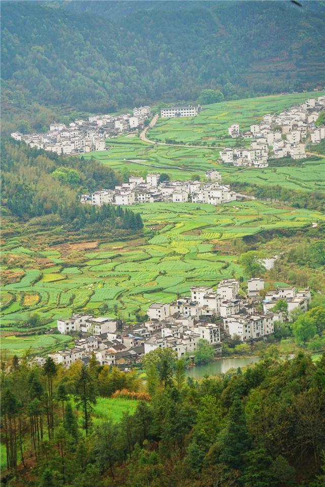实拍中国最美乡村的春天,婺源万亩油菜花盛放,云海梯田天上人间