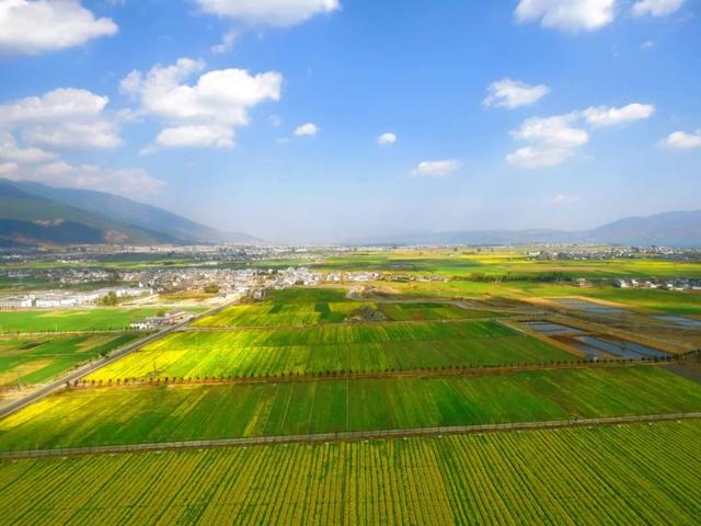 大理苍山下洱海边的白族院落民宿,去闻闻大理的春天丨泊心云舍