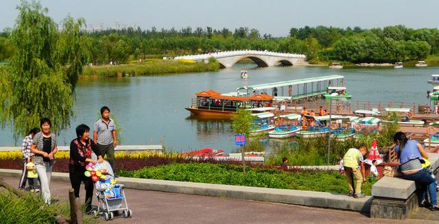 这里是北京最大的湿地公园，常年免票，春天去最美