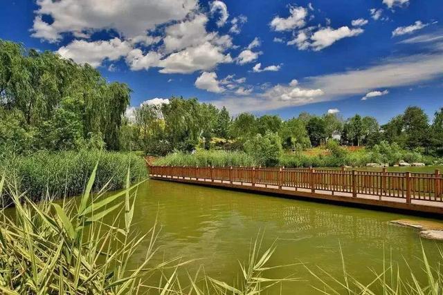 这里是北京最大的湿地公园，常年免票，春天去最美