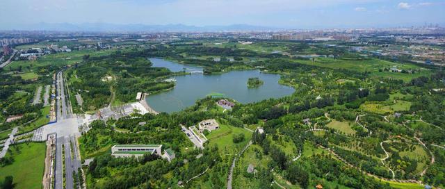 这里是北京最大的湿地公园，常年免票，春天去最美