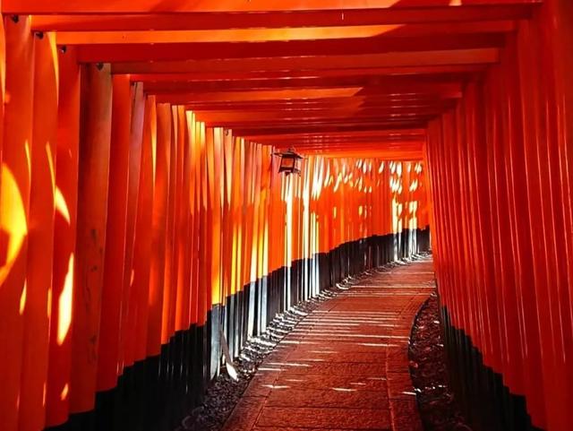 全日本最适合拍照晒图的十大神社，没人能逃过的神秘之美