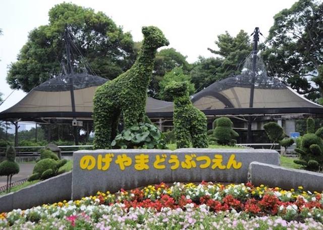日本横滨无需门票的精品观光景点5选!内容十分充实却“免费”?