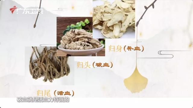 失眠、消瘦要补肾养血?如何科学用当归补血?| 健康问答 115 期