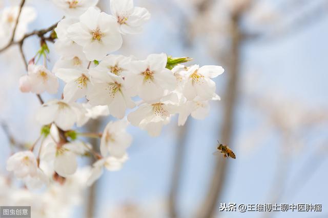 万象更新的春天，肿瘤患者在饮食方面要注意这些