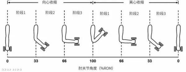 知道这4条增肌原理，肌肉才能长得更大，很多人其实不懂健身