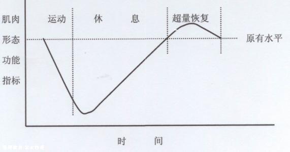 知道这4条增肌原理，肌肉才能长得更大，很多人其实不懂健身