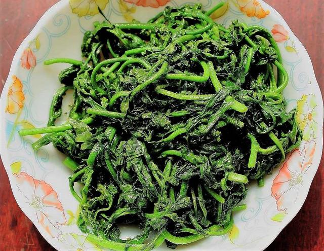 灵隐寺推荐时蔬 春季野菜的珍品——“灵丹草”荠菜