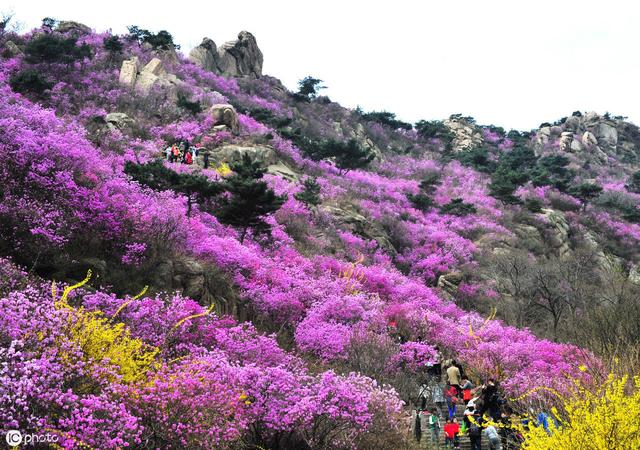 青岛旅游必去的7大景点,你都去过哪几个?