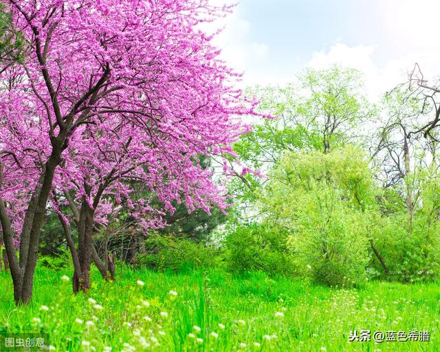春天里，摄影怎么拍摄绿柳红花、宁静的田园风景？你有什么思路？