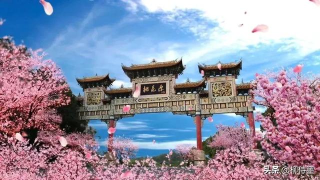 掌握3条摄影经验,轻松拍摄出:春来遍是桃花水,不辨仙源何处寻