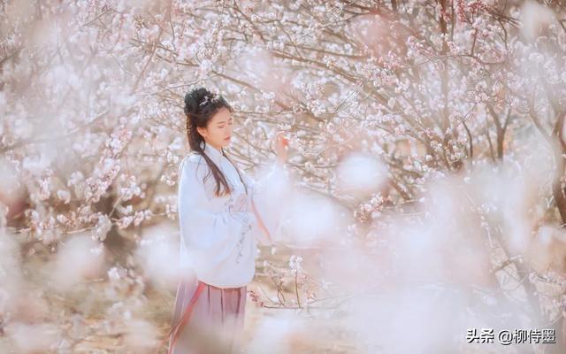 掌握3条摄影经验,轻松拍摄出:春来遍是桃花水,不辨仙源何处寻