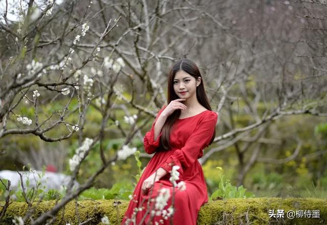 掌握3条摄影经验,轻松拍摄出:春来遍是桃花水,不辨仙源何处寻
