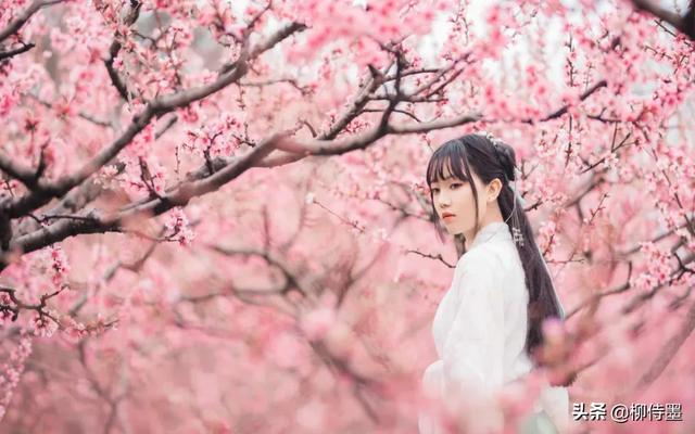 掌握3条摄影经验,轻松拍摄出:春来遍是桃花水,不辨仙源何处寻