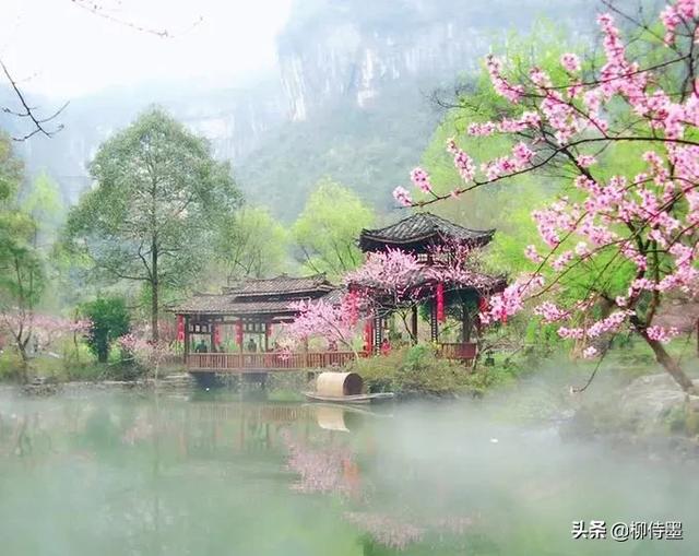 掌握3条摄影经验,轻松拍摄出:春来遍是桃花水,不辨仙源何处寻
