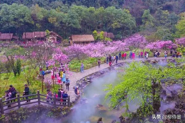 掌握3条摄影经验,轻松拍摄出:春来遍是桃花水,不辨仙源何处寻