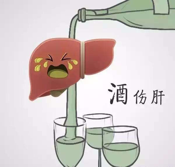 怎样喝酒不伤肝？还能帮助解酒？这4件小事，喝酒时别忘记了