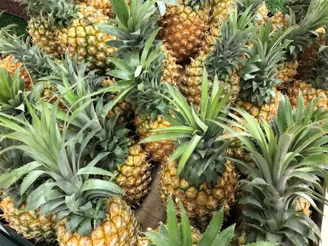 买菠萝时,聪明人碰上这3种菠萝扭头就走,老板扔掉也不会自己吃