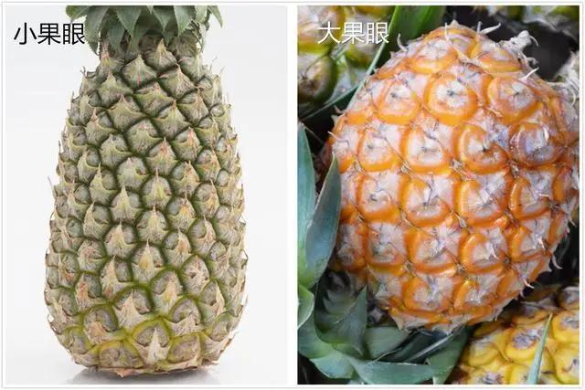买菠萝时,聪明人碰上这3种菠萝扭头就走,老板扔掉也不会自己吃