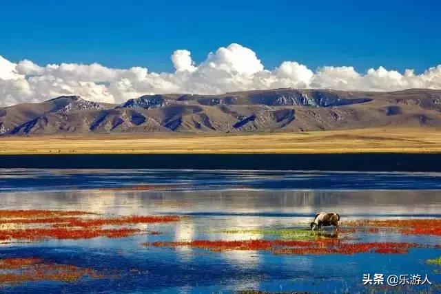 最治愈人心的8大旅行目的地,每一处都是疗伤胜地