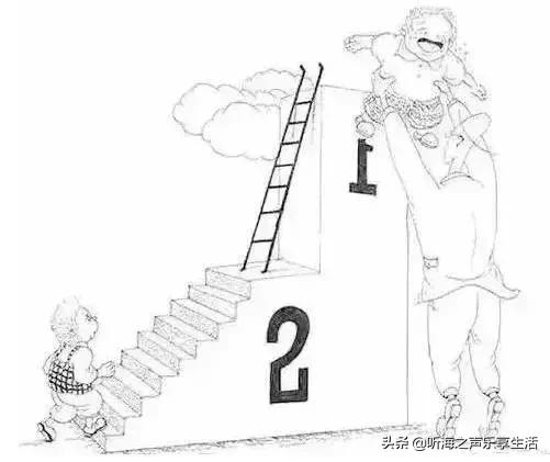 什么是教育?(4)