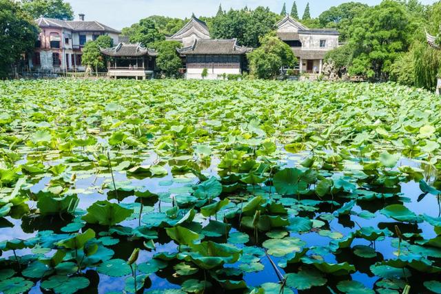 旅游景点推荐:最适合一个人旅行的美景
