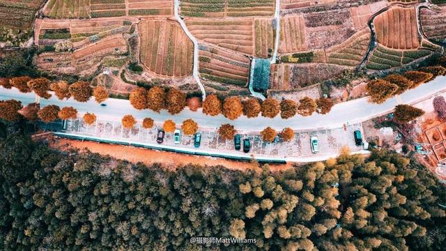 旅游景点推荐:最适合一个人旅行的美景