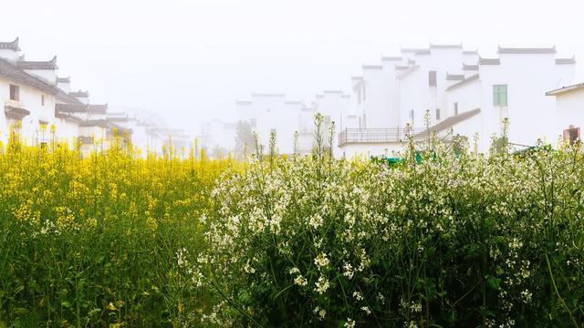 旅游景点推荐:最适合一个人旅行的美景