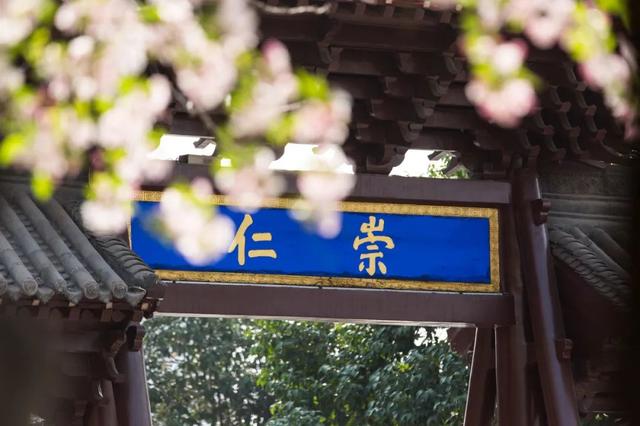 旅游景点推荐:最适合一个人旅行的美景