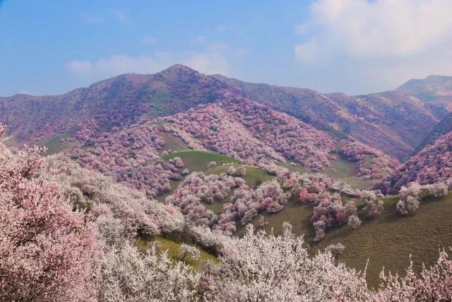 3-4月最佳旅行地,10个地方玩转整个春天