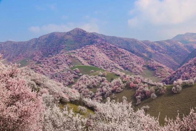 3-4月最佳旅行地，10个地方玩转整个春天