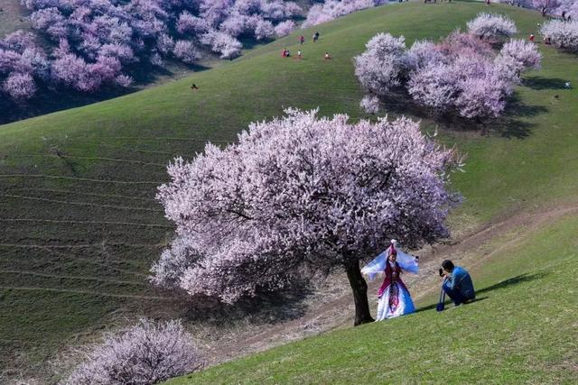 3-4月最佳旅行地,10个地方玩转整个春天