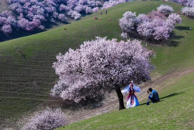 3-4月最佳旅行地，10个地方玩转整个春天