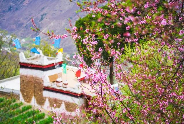 3-4月最佳旅行地,10个地方玩转整个春天