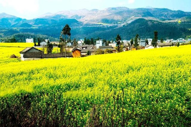 3-4月最佳旅行地,10个地方玩转整个春天