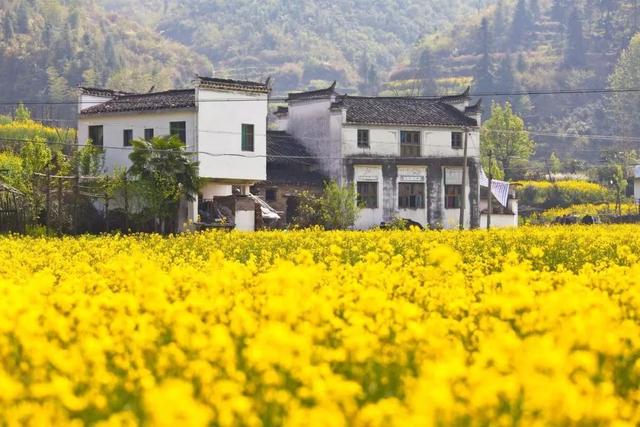 3-4月最佳旅行地,10个地方玩转整个春天