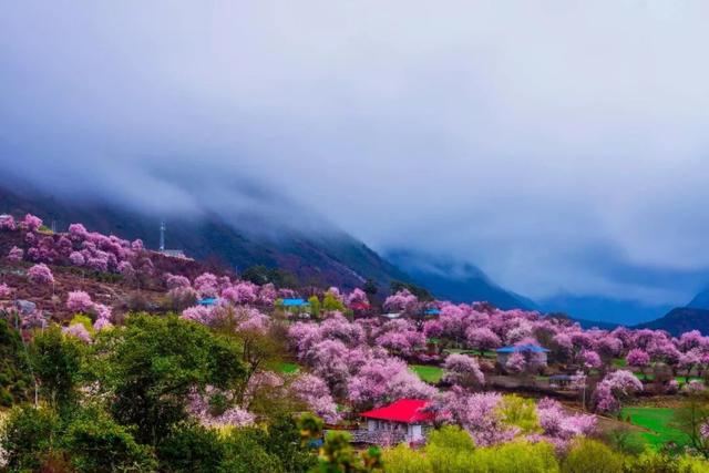 3-4月最佳旅行地,10个地方玩转整个春天