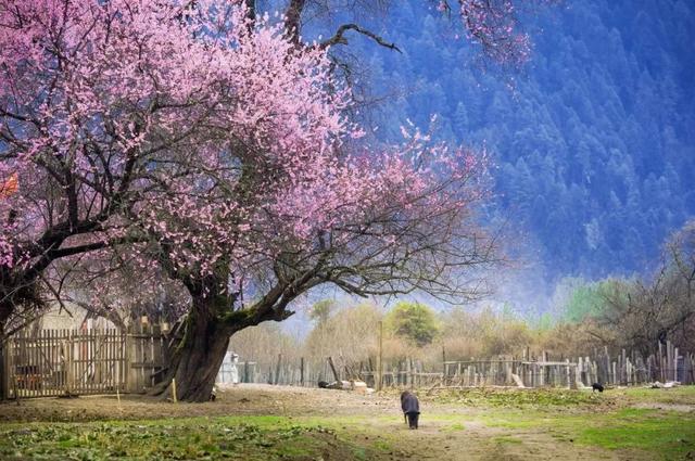 3-4月最佳旅行地,10个地方玩转整个春天