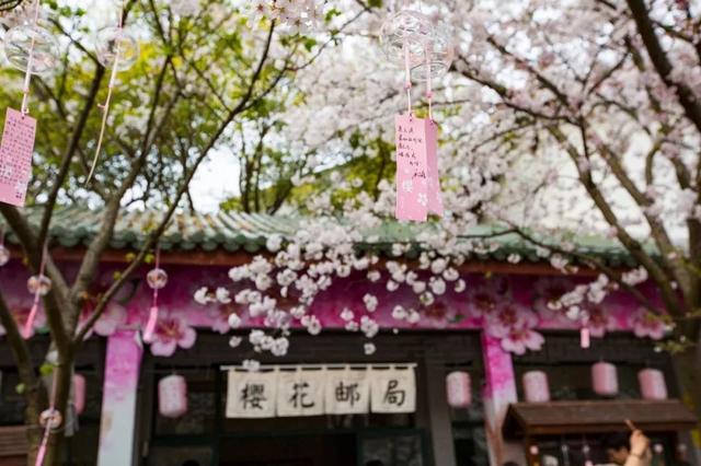 3-4月最佳旅行地,10个地方玩转整个春天