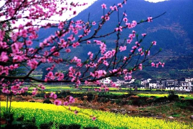 3-4月最佳旅行地,10个地方玩转整个春天