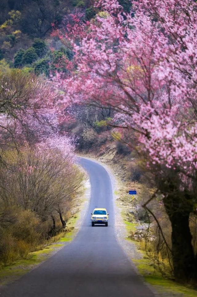 3-4月最佳旅行地,10个地方玩转整个春天