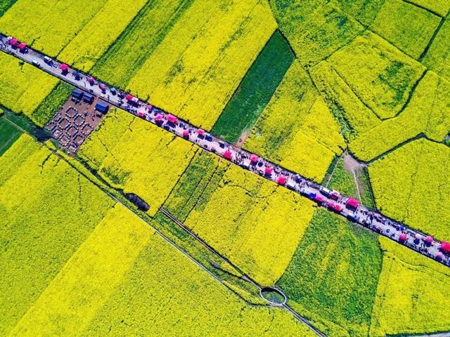 3-4月最佳旅行地,10个地方玩转整个春天