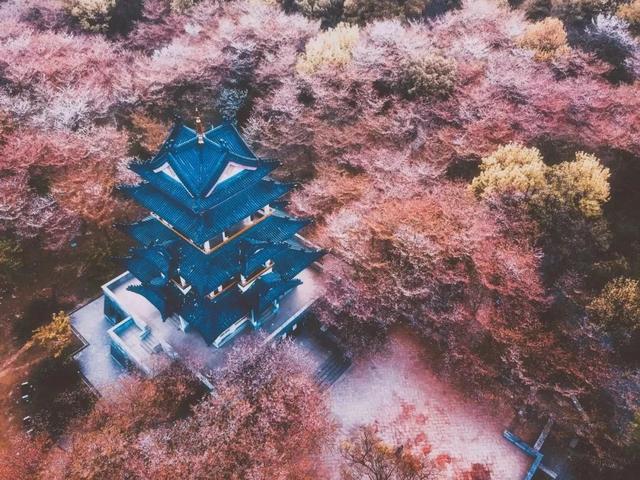 3-4月最佳旅行地,10个地方玩转整个春天