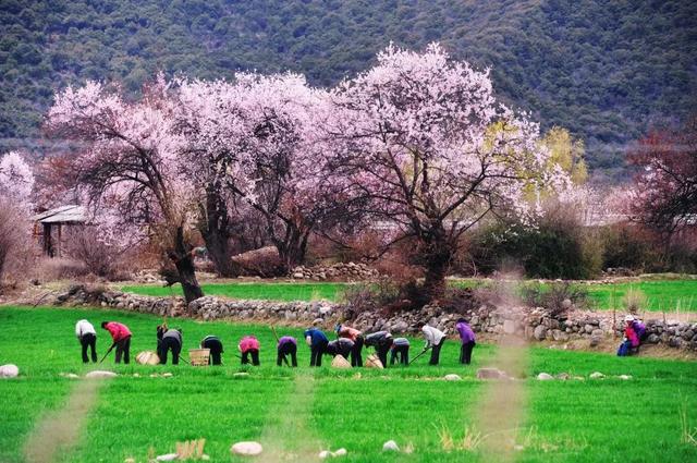 3-4月最佳旅行地,10个地方玩转整个春天