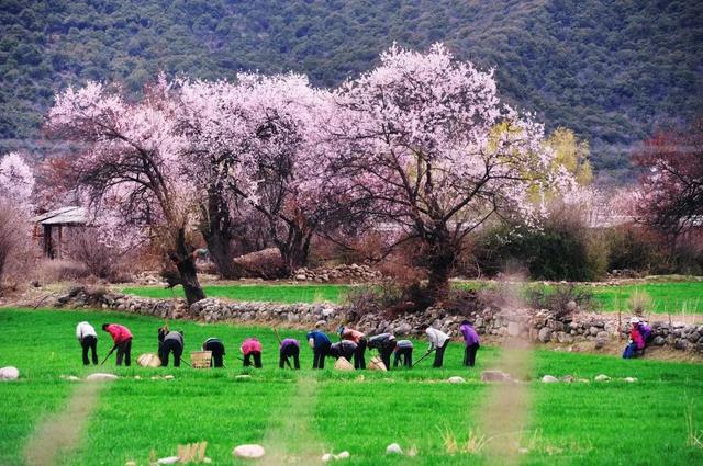 3-4月最佳旅行地，10个地方玩转整个春天