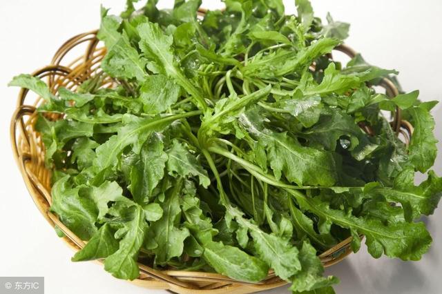 赶上春天的尾巴!这两种神仙野菜再不吃,就要等到明年了!