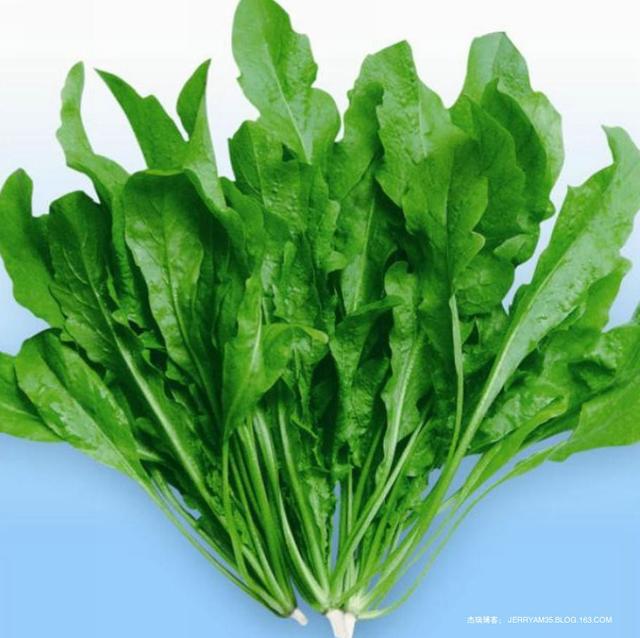 赶上春天的尾巴!这两种神仙野菜再不吃,就要等到明年了!
