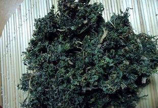 野菜价格贵,和应季蔬菜相比营养价值更高?不注意焯水反而很危险